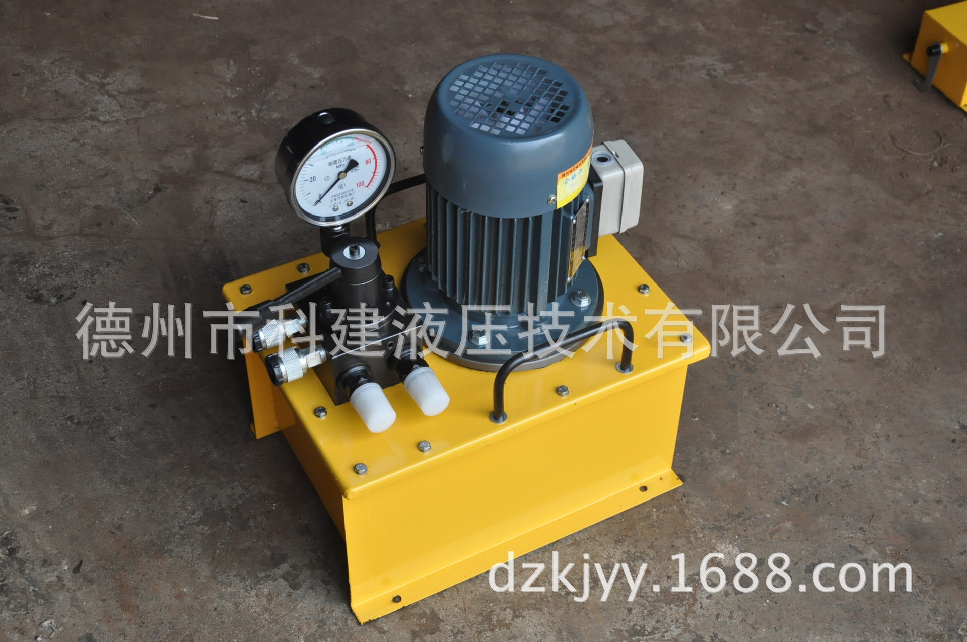 DSS型 電動泵 (10)