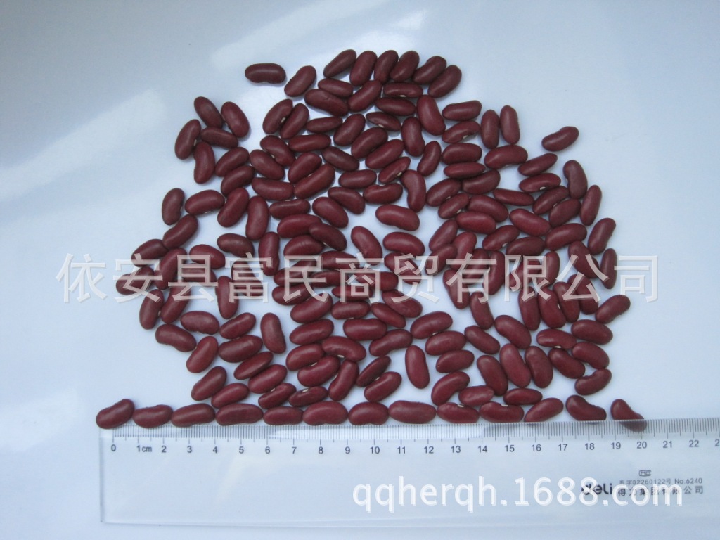 dark red kidney beans 003
