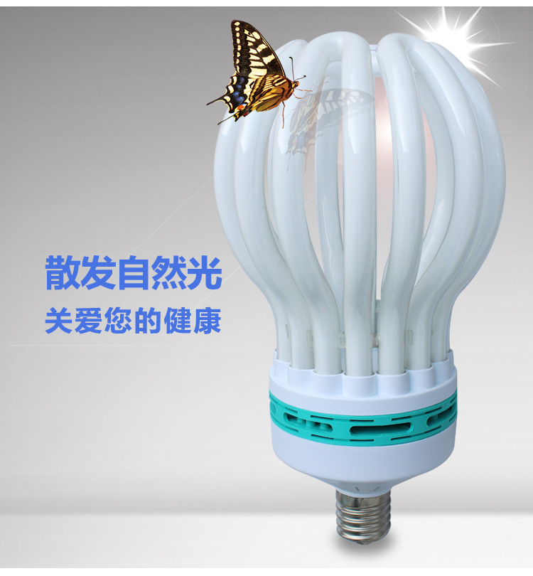 TB2DekwXVXXXXXuXXXXXXXXXXXX_!!