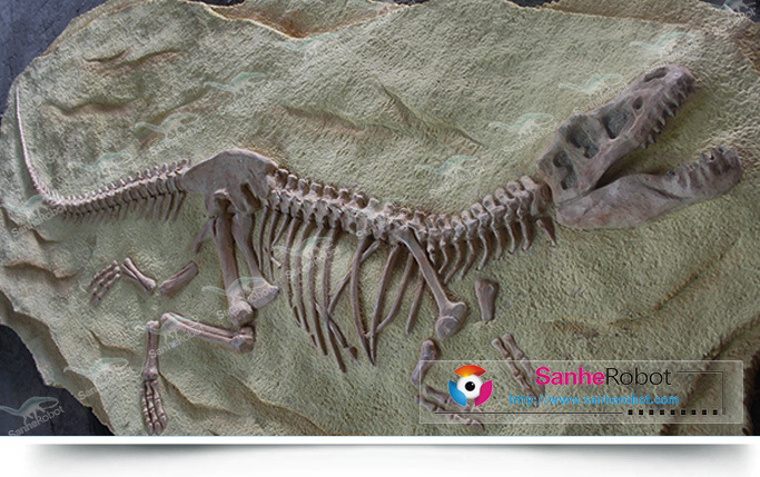 仿真恐龙化石/恐龙化石考古用/恐龙化石模型