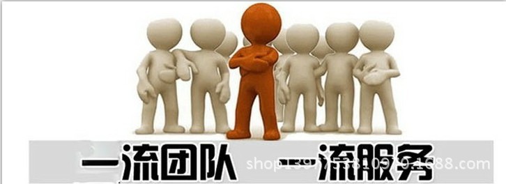 团队