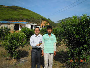 批发采购生物肥料-柑橘用微生物土壤改良剂处