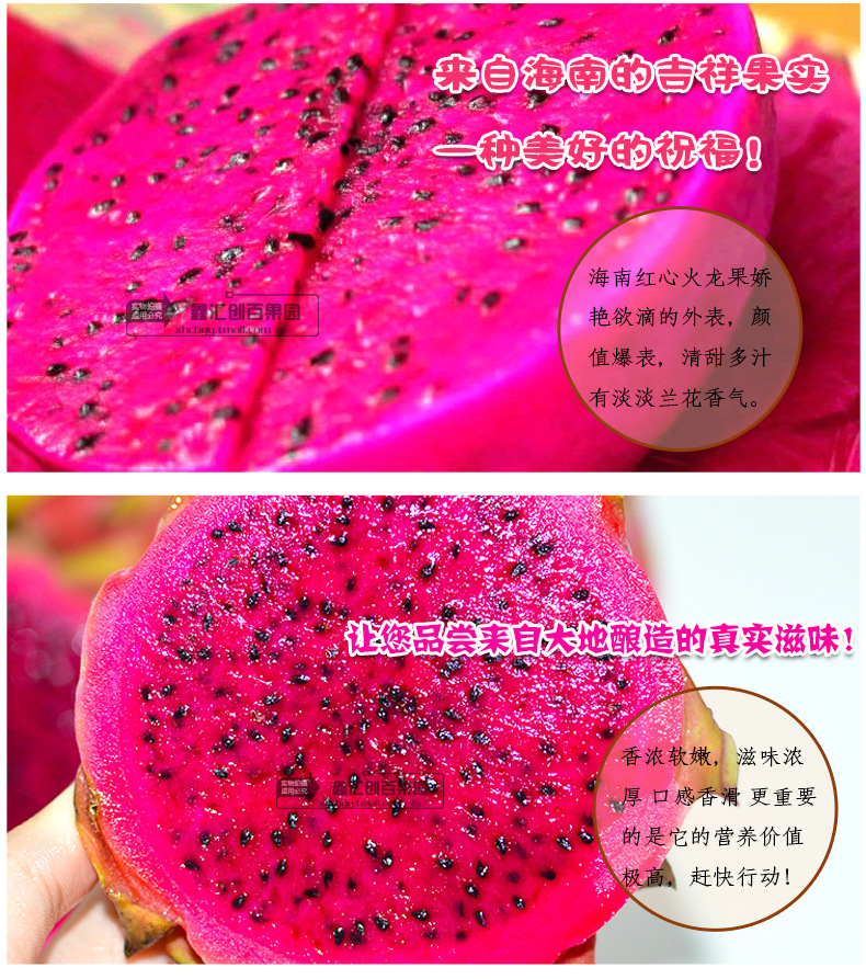 海南三亚一级红肉火龙果10斤装 红心新鲜水果批发 不包邮