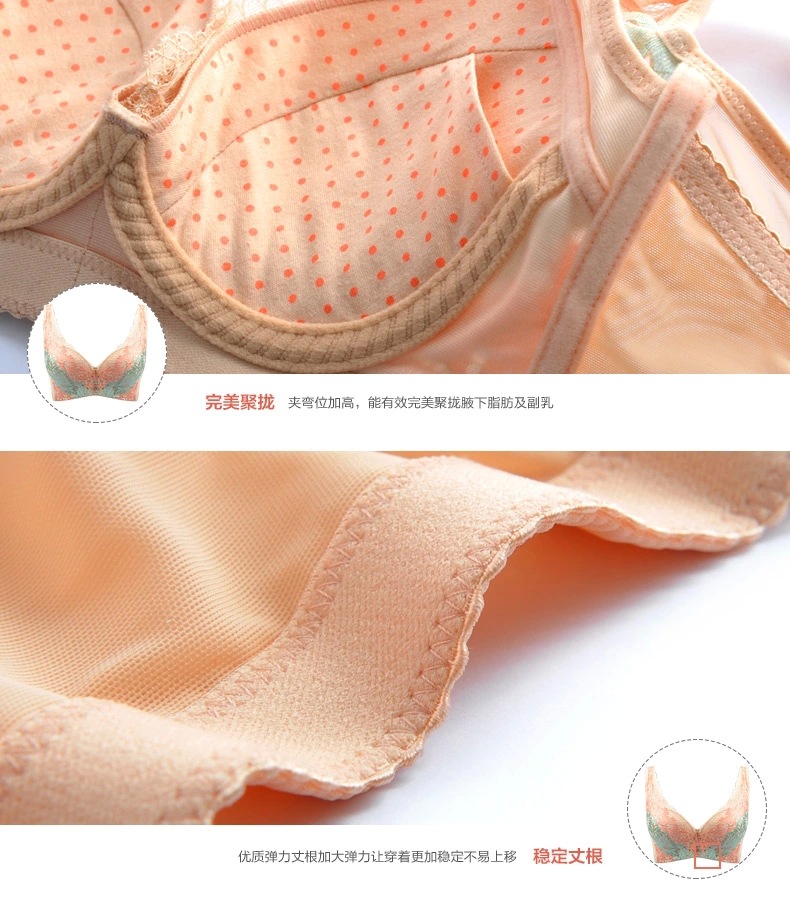 25.webp