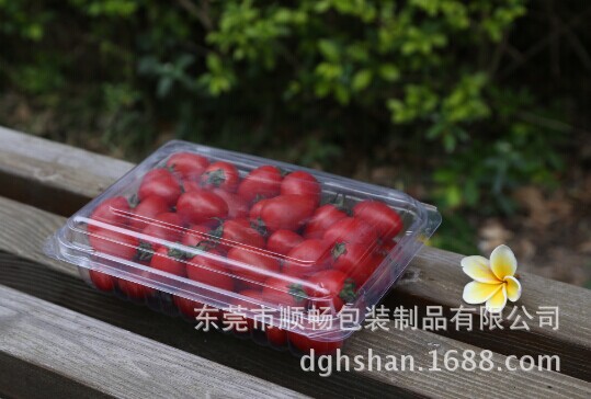 SC-D001吸塑盒2