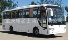 安源豪华旅游客车PK6890A的图片2