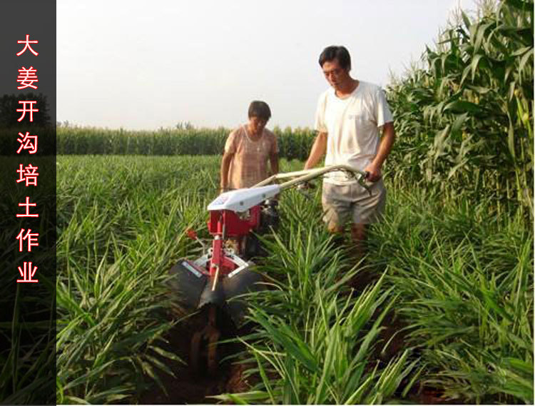 电启动开沟培土机 家用开沟培土机厂家