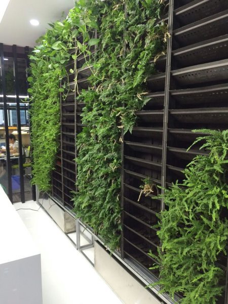 植物墙花盆 塑料植物花盆 立体绿化种植盆 室内室外悬挂种植箱