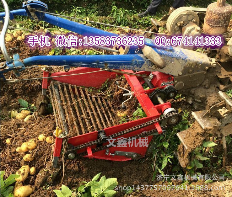 马铃薯、大蒜手扶收获机