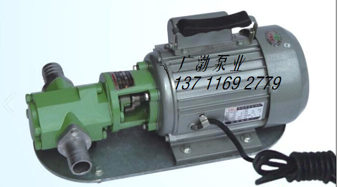 WCB微型齿轮油泵