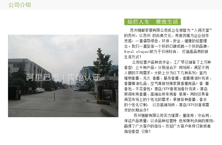 公司介绍