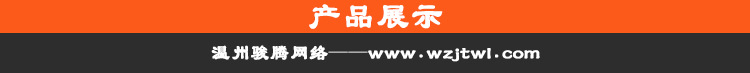www.wzjtwl.com