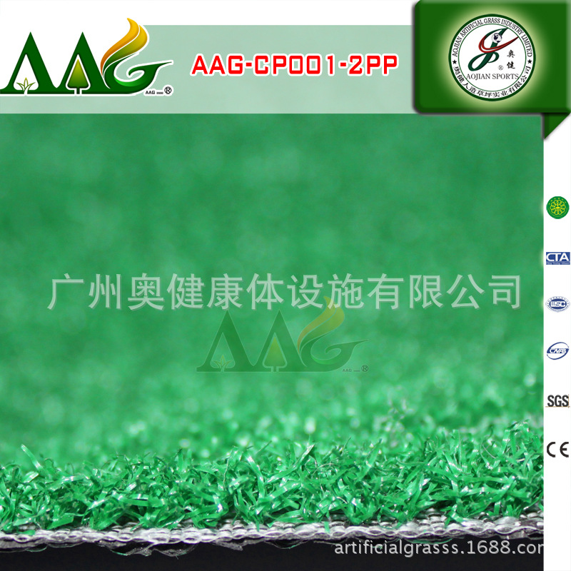 AAG-CP001-2PP (1)