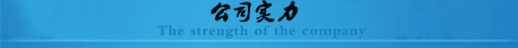 公司实力