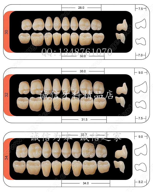 *特价*沪鸽舒适【凯晶牙】4层色牙 口腔牙科 齿科材料