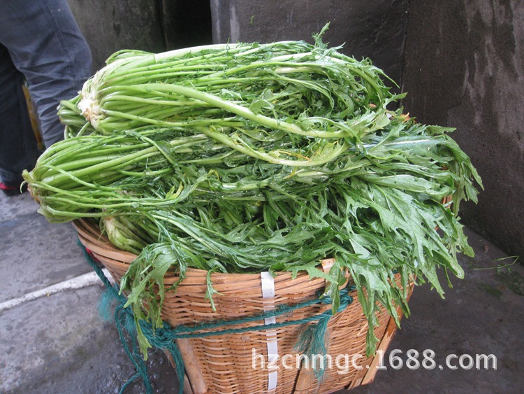泥沙对梅干菜品质的影响