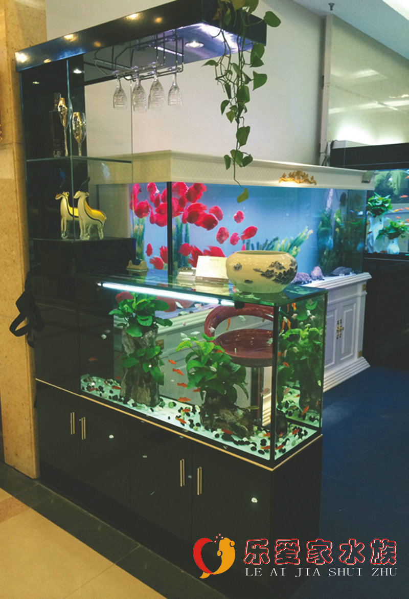 新款创意鱼缸 酒柜鱼缸 玻璃生态鱼缸水族箱 家庭鱼缸