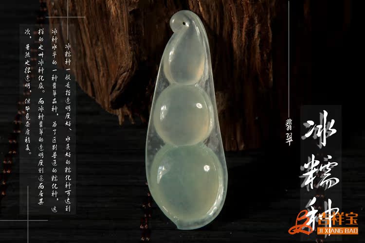 四季豆 (9)