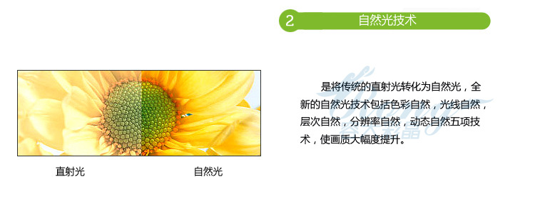 1024144631_1691978841[1]