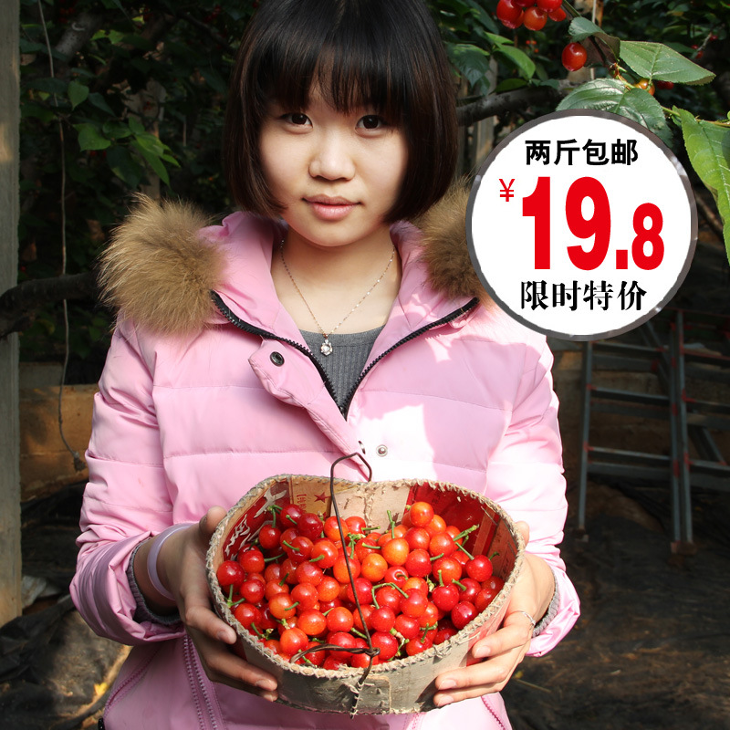 预售 预定2斤装山东特产新鲜水果大樱桃生鲜车厘子孕妇水果鲜樱桃