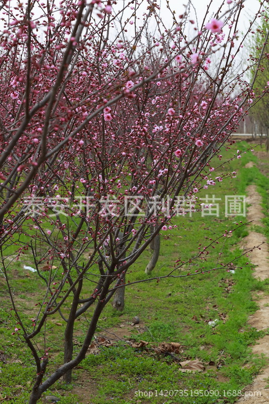 userid354657time20140401061201