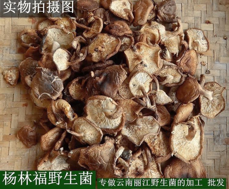 批发云南丽江野生香菇干货 2015年新品 1千克起批 野生菌食用菌