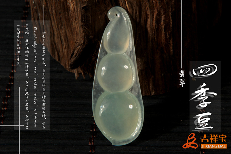 四季豆 (5)