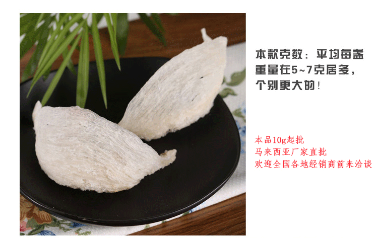 燕窝 马来西亚燕窝 顶级燕盏 纯手工挑毛疏盏 燕窝大量批发