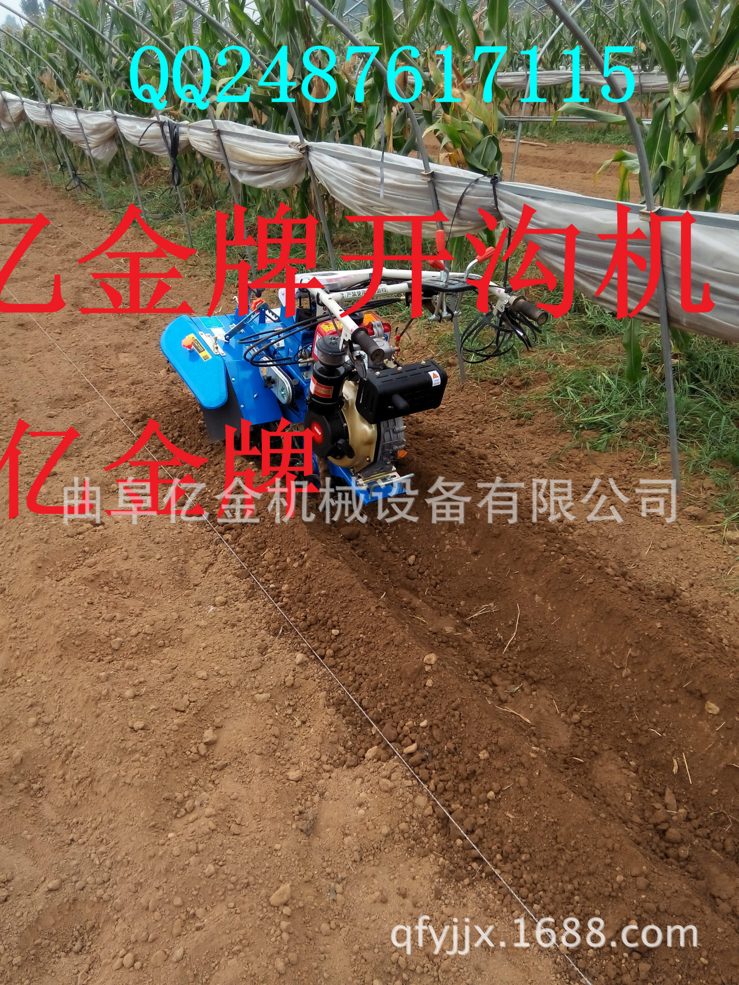 IMG_20140828_094651