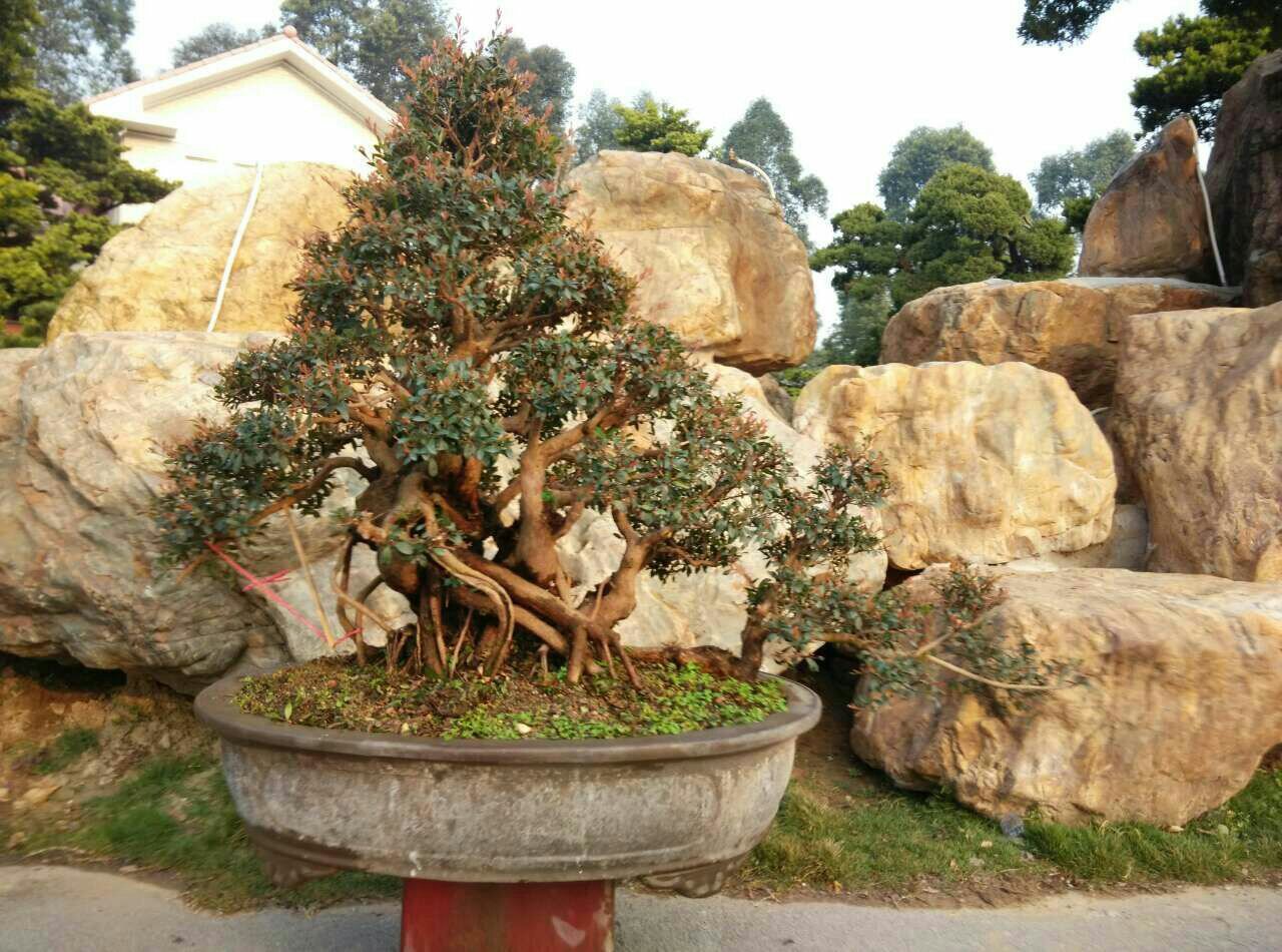 辰2