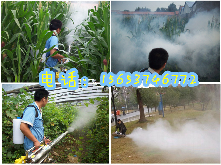 热力弥雾机-汽油热力弥雾机