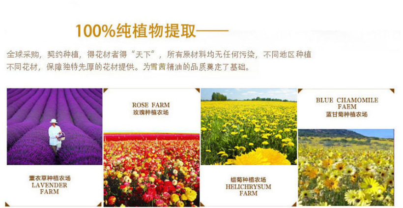 减肥、瘦身 精油 丰胸精油