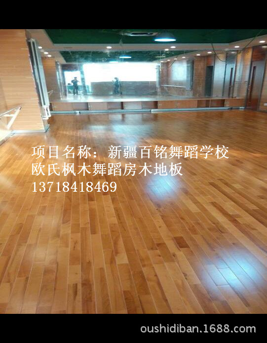 新疆百铭舞蹈学校 (4)_副本