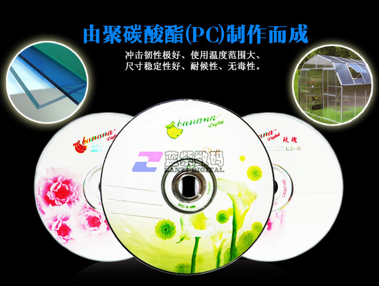 兰花玫瑰CD-R50_06