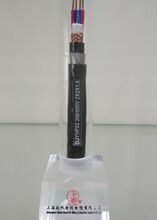 廠家供應 DJYPV2*2*0.75計算機電纜 電線電纜