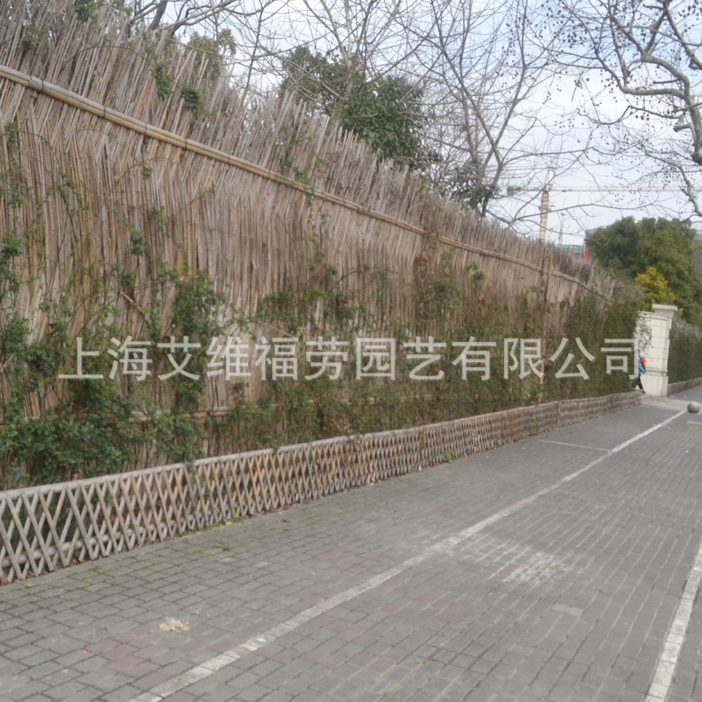 竹篱笆竹围墙三林公园案例上海常青藤专业供应商