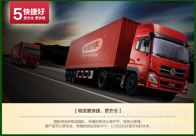 优化-500g核桃_08