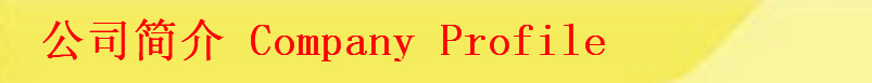 公司简介5