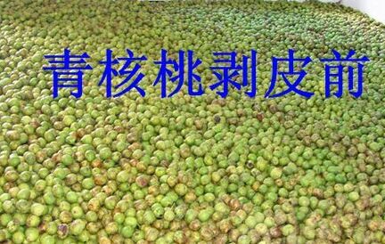 四川核桃去皮设备,四川核桃清洗设备,四川家用型去皮机