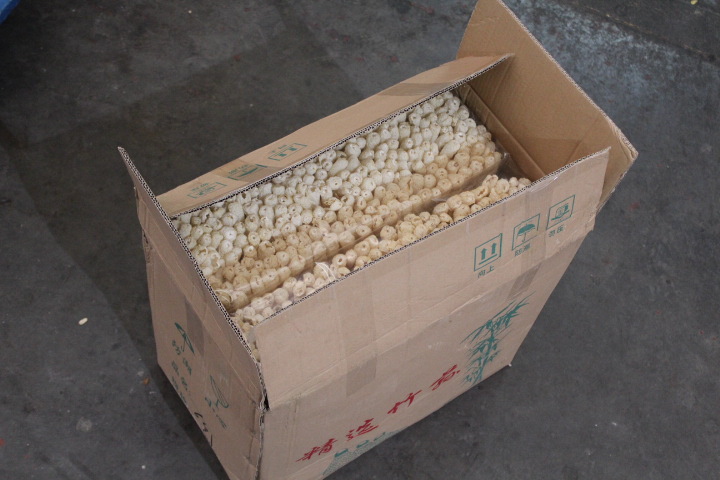 新鲜特级饭店专供竹荪,一包500克,实际净重420g左右,特价批发(原包装