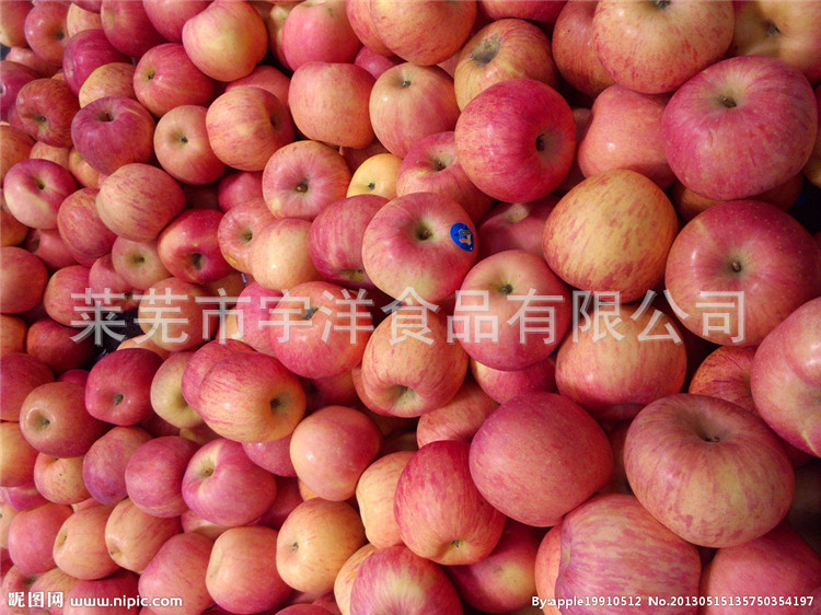 苹果批发 营养丰富一级苹果 山东正宗优质脆甜红富士一级苹果
