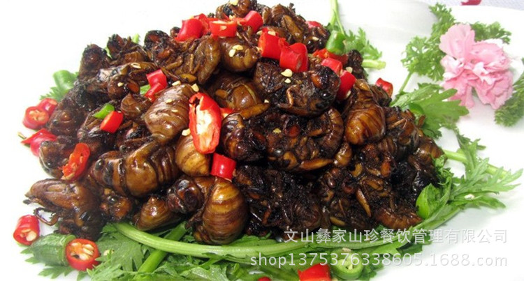 云南特产知了_批发云南特产知了天然昆虫以实