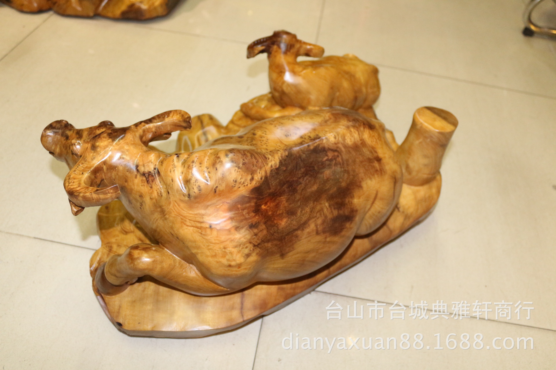 金丝楠扭转乾坤45x20x47cm (9)