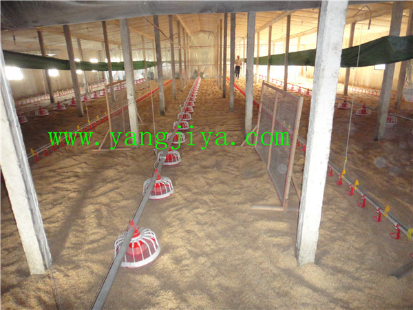 undefined