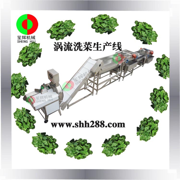云南大型餐饮配送中心专用不锈钢洗菜机 臭氧杀毒蔬菜清洗机
