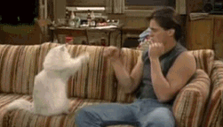 251_144gif 动态图 动图