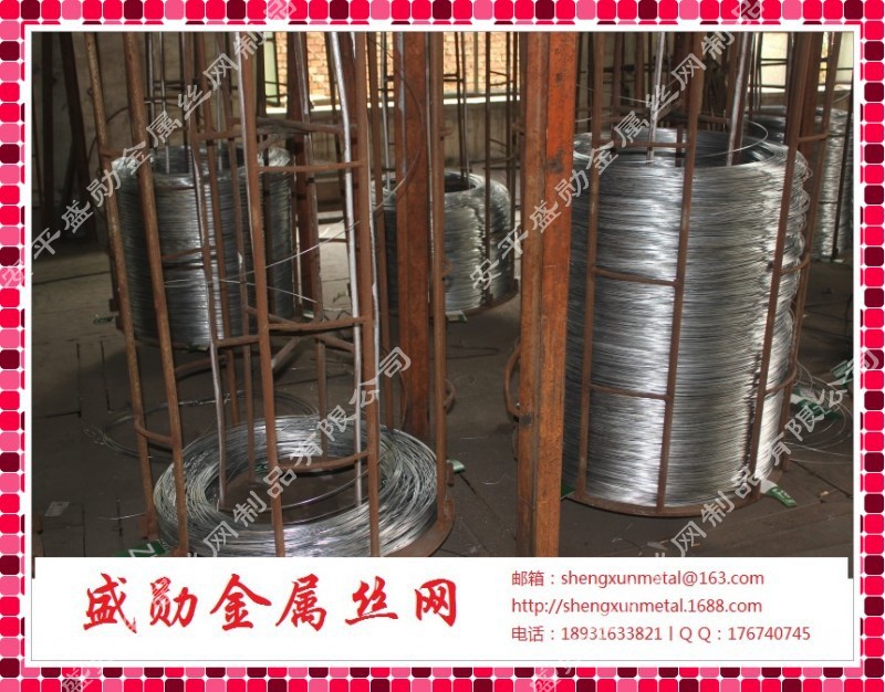 镀锌丝 (31)