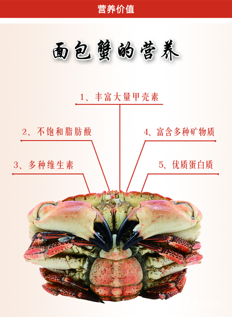 供应野生进口蟹类海鲜熟冻面包蟹批发深海面包蟹厂家货源直销