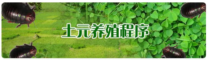 2013061832677899