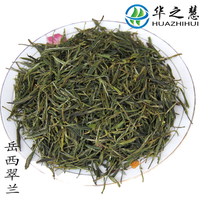 2015新茶有机高山绿茶岳西翠兰安徽名茶礼茶叶500g袋装